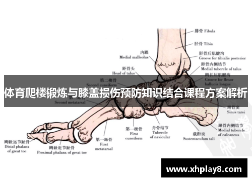 体育爬楼锻炼与膝盖损伤预防知识结合课程方案解析