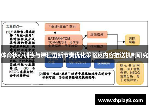 体育核心训练与课程更新节奏优化策略及内容推送机制研究